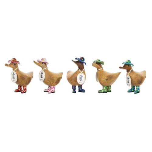 dcuk ducky