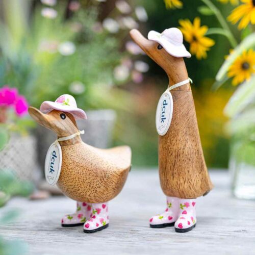 dcuk ducky