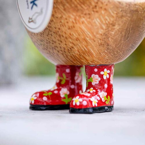 dcuk ducky