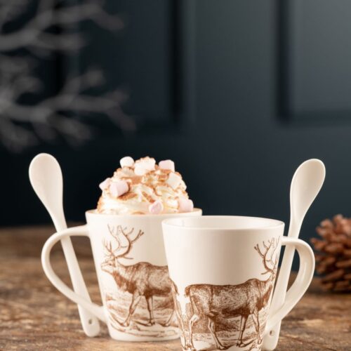 Christmas Hot Chocolate Set