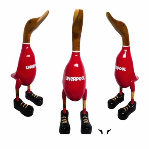 Liverpool Duck