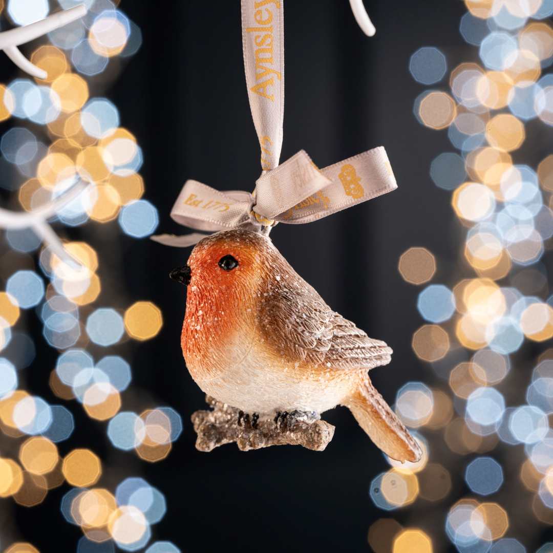 Robin Christmas Tree Decoration