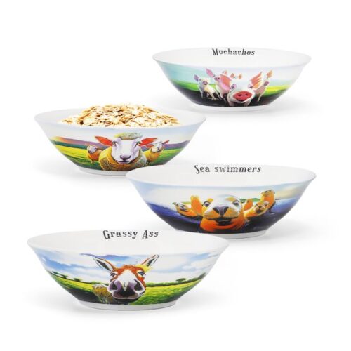 Set of 4 Bowls